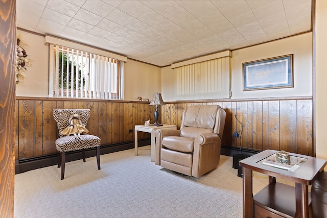 living area featuring carpet floors and wood walls