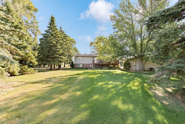 view of yard featuring a wooden deck