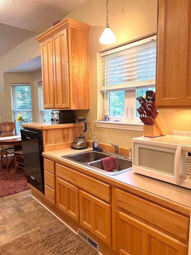 kitchen featuring a wealth of natural light, dishwasher, sink, and a textured ceiling