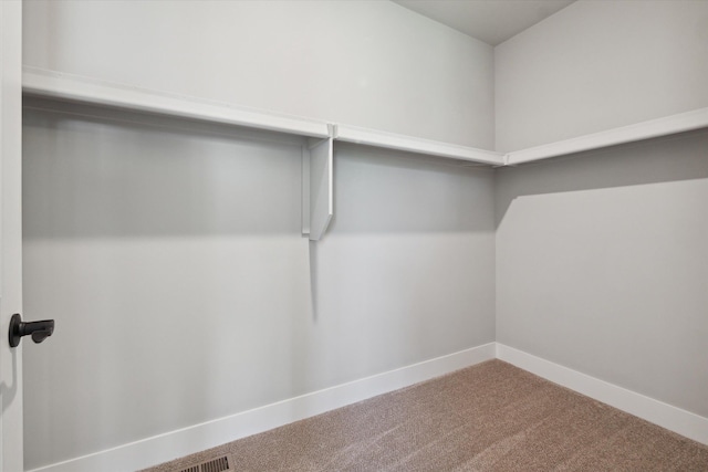 spacious closet with carpet floors