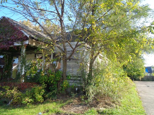 14390 Lappin St, Detroit, MI 48205 - view of side of home