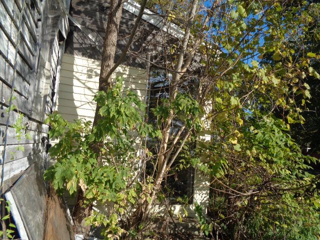 14390 Lappin St, Detroit, MI 48205 - view of home's exterior