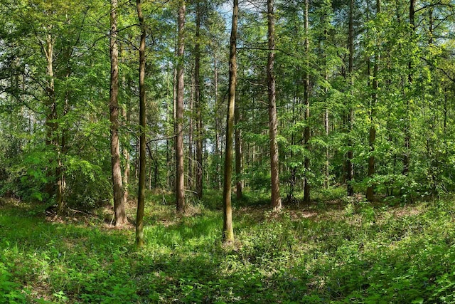 Westwood Dr, Oscoda, MI 48750