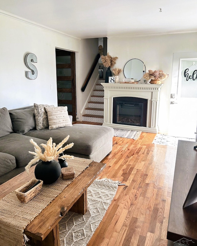 living room with hardwood / wood-style floors and ornamental molding