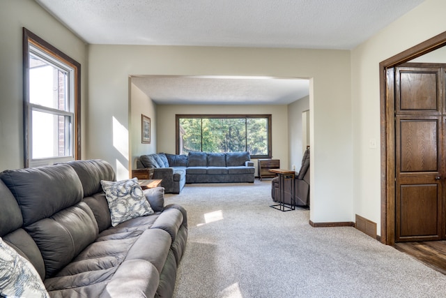 carpeted living room featuring a textured ceiling and a healthy amount of sunlight