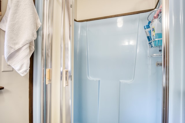 bathroom with a shower with shower door