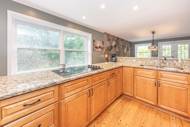 kitchen featuring light wood finished floors, ornamental molding, a sink, light stone countertops, and black electric cooktop