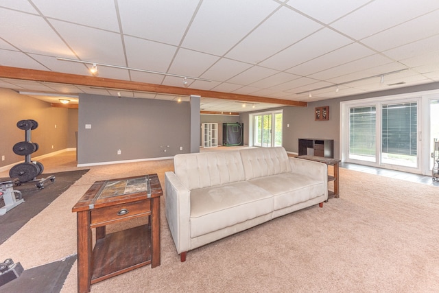 living area with baseboards, a drop ceiling, carpet flooring, and track lighting