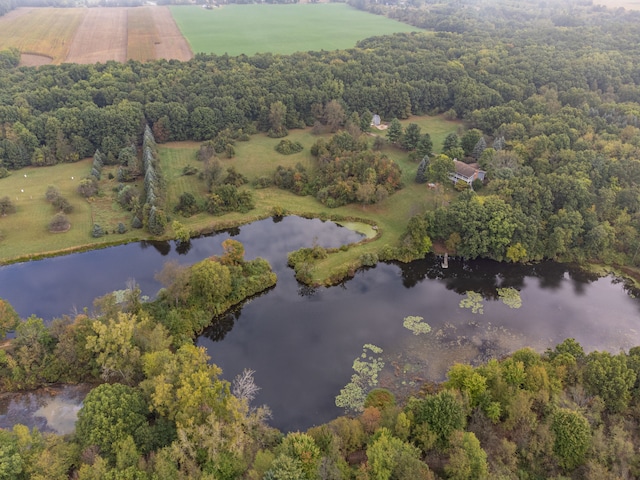 bird's eye view featuring a water view and a forest view