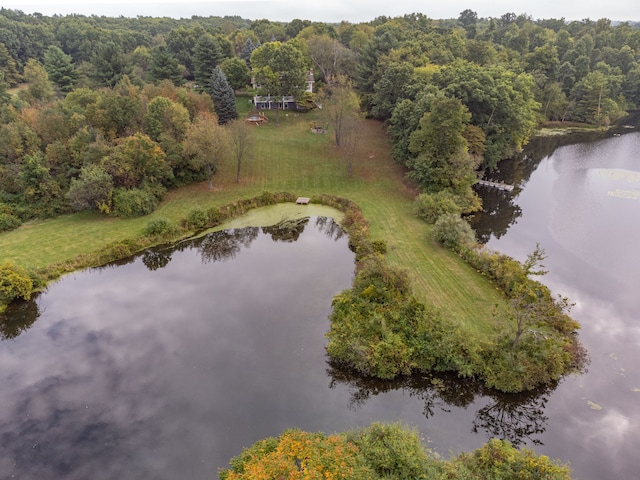 birds eye view of property featuring a forest view and a water view