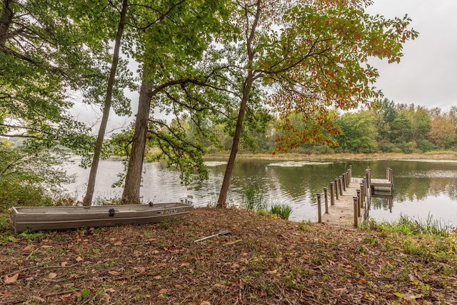 water view featuring a boat dock