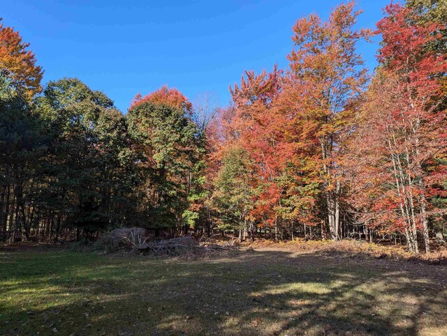 N/A Huron Breeze Dr, Au Gres, MI 48703