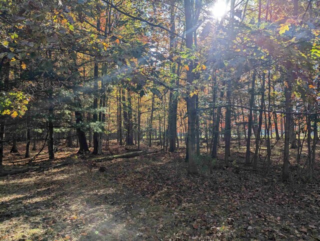 N/A Huron Breeze Dr, Au Gres, MI 48703