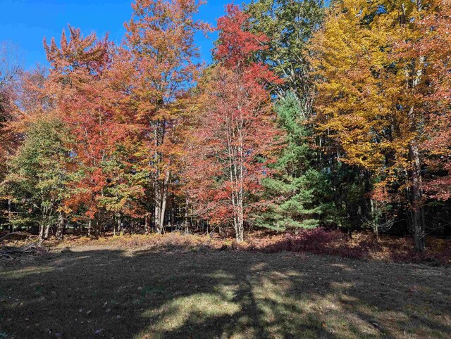 N/A Huron Breeze Dr, Au Gres, MI 48703