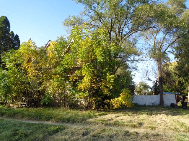 14531 Lappin St, Detroit, MI 48205 - view of yard