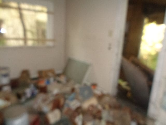 14531 Lappin St, Detroit, MI 48205 - view of bedroom