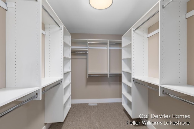 spacious closet featuring light colored carpet