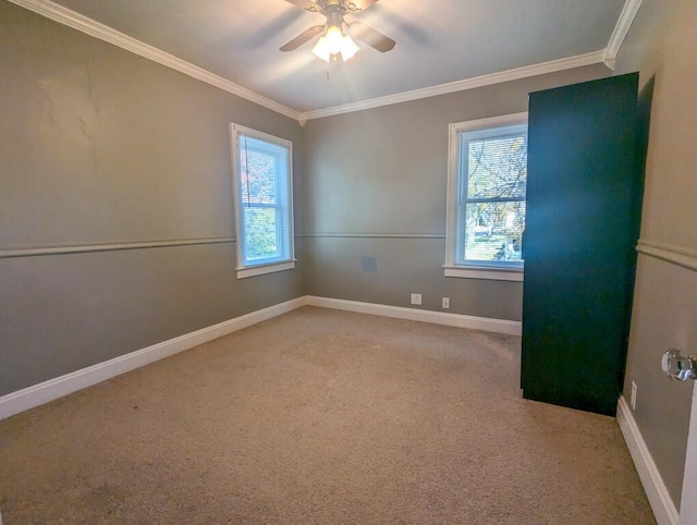 empty room featuring carpet flooring, ceiling fan, and ornamental molding