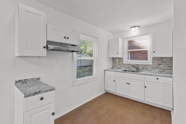 kitchen featuring sink, tasteful backsplash, light hardwood / wood-style flooring, ventilation hood, and white cabinets