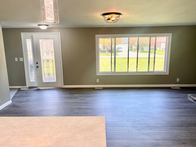 foyer entrance featuring dark wood-type flooring