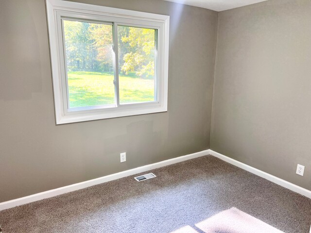 spare room featuring carpet flooring