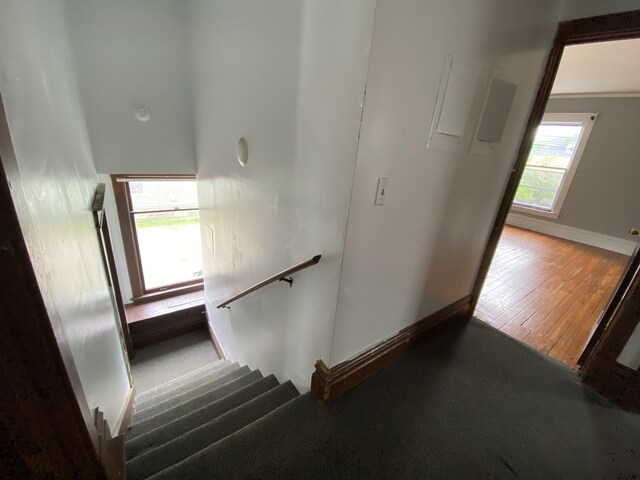 925 W Lovell St, Kalamazoo, MI 49007 - stairs featuring baseboards and hardwood / wood-style flooring