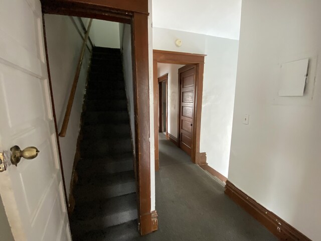 925 W Lovell St, Kalamazoo, MI 49007 - stairs with carpet and baseboards