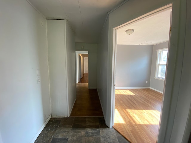 corridor with dark hardwood / wood-style flooring