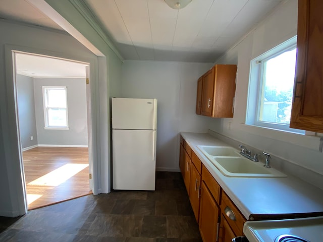 kitchen with white refrigerator, dark hardwood / wood-style flooring, ornamental molding, and sink