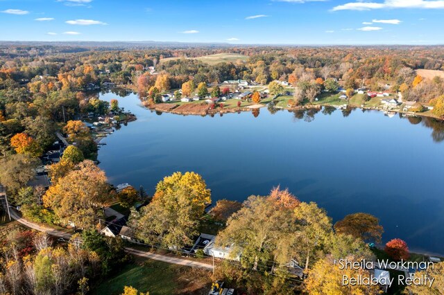 2108 Leach Lake Ln, Hastings, MI 49058 - photo 24
