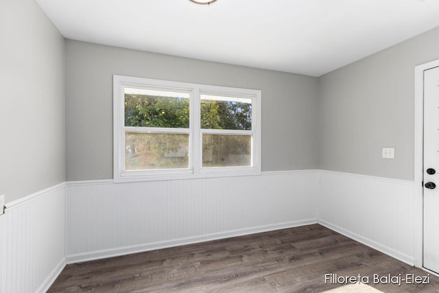 spare room featuring dark wood-type flooring