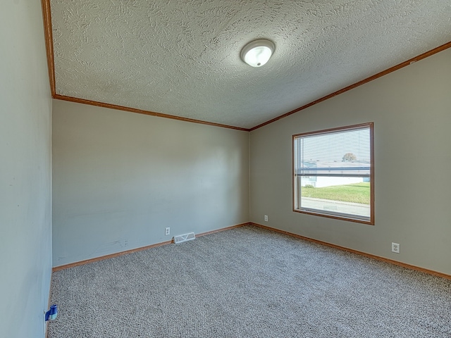 empty room featuring lofted ceiling, a textured ceiling, and carpet floors