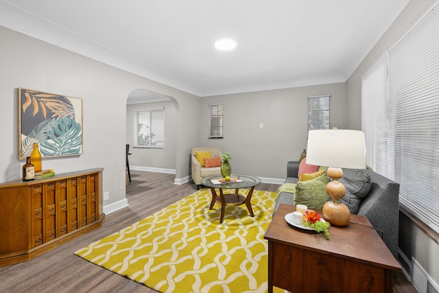 living room featuring crown molding and hardwood / wood-style floors