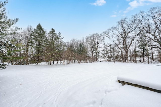 view of yard covered in snow