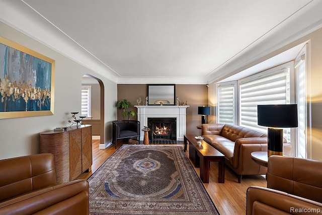 living room featuring crown molding and light hardwood / wood-style floors