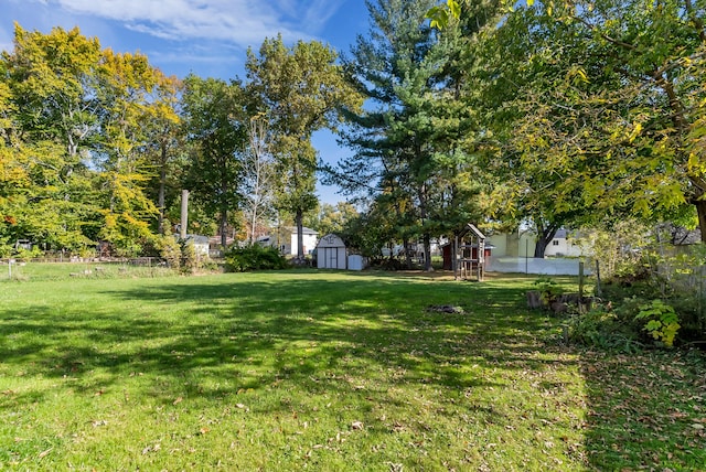 view of yard with a storage shed