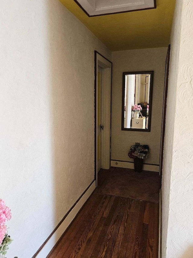 hallway with dark hardwood / wood-style flooring