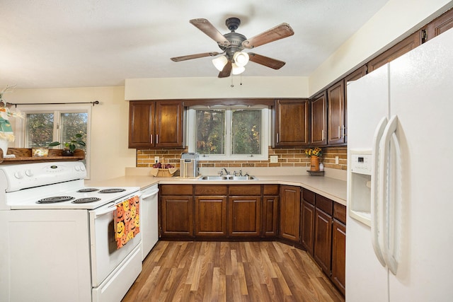 kitchen with decorative backsplash, white appliances, dark wood-type flooring, and sink