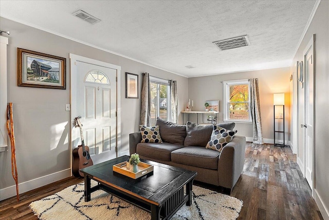 living room featuring dark hardwood / wood-style floors, ornamental molding, and a textured ceiling