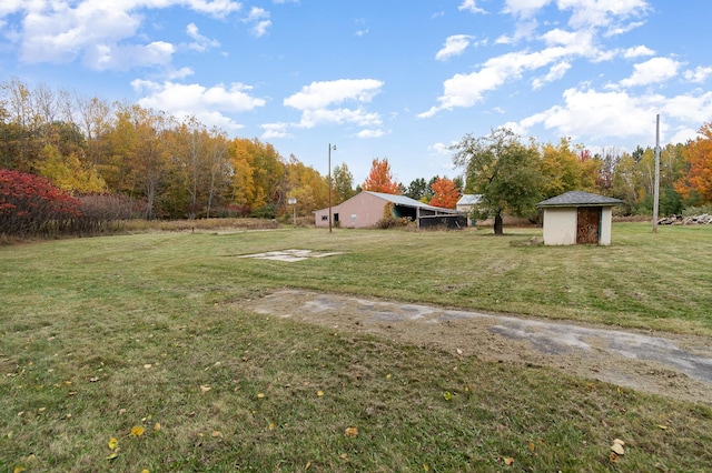 view of yard featuring a shed