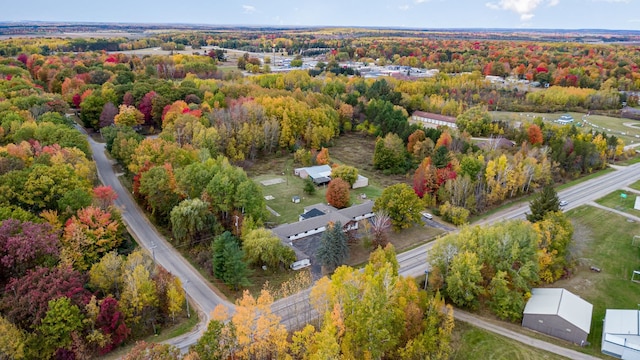 bird's eye view