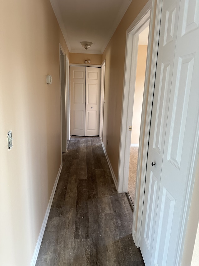 hallway with dark hardwood / wood-style flooring