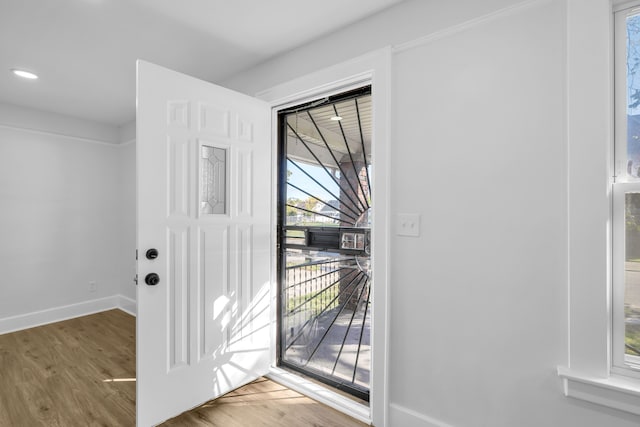 entrance foyer with a healthy amount of sunlight and wood-type flooring