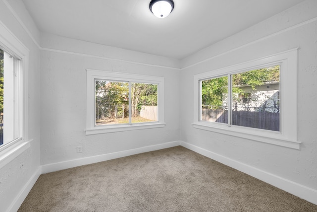 carpeted spare room with a healthy amount of sunlight