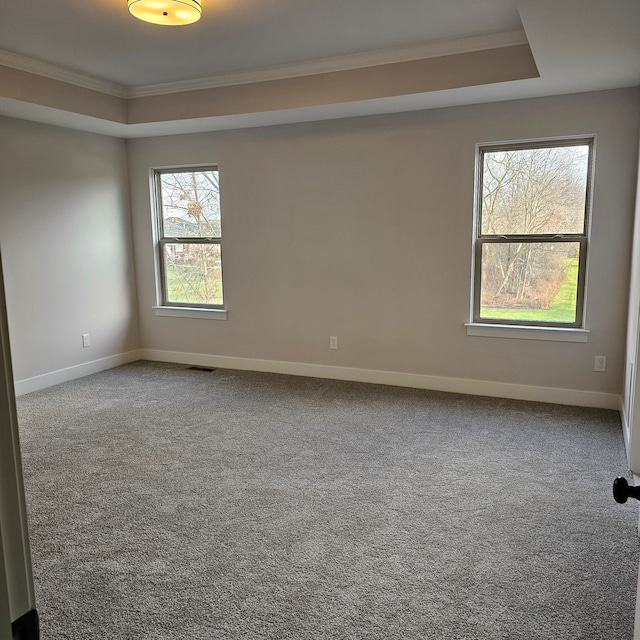 carpeted spare room featuring ornamental molding and a tray ceiling