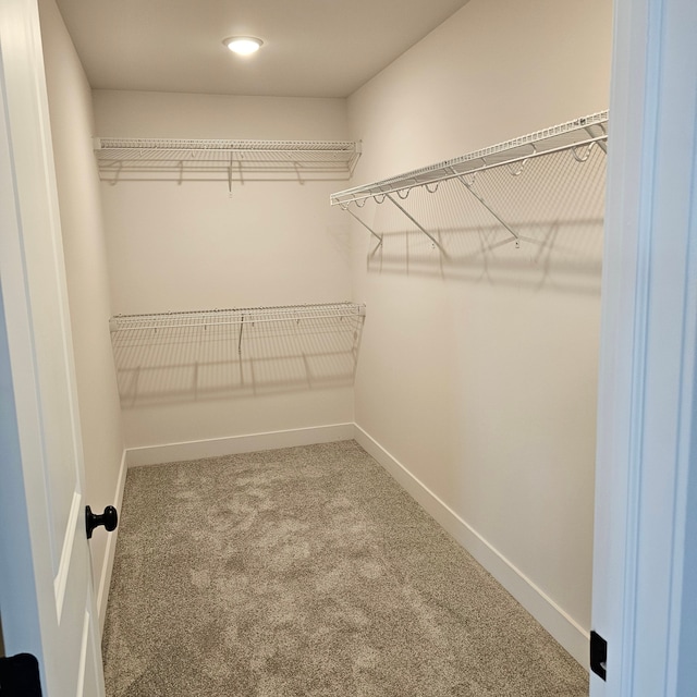 spacious closet with carpet flooring