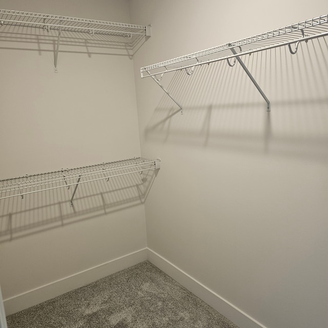 walk in closet featuring carpet