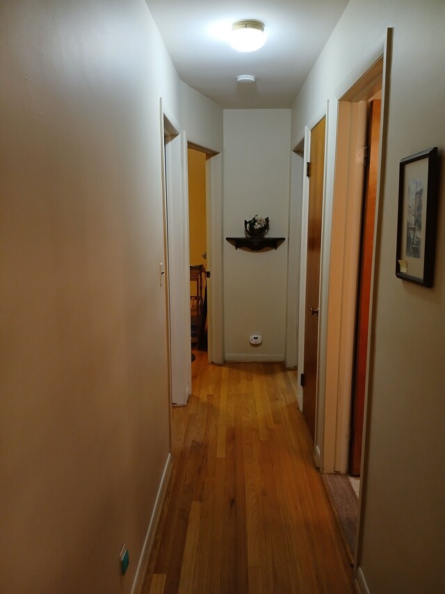 28164 Kendallwood Dr, Farmington Hills, MI 48334 - corridor with light wood-style floors