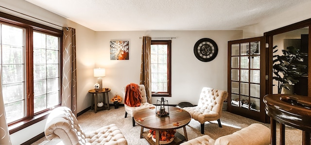 sitting room with plenty of natural light, a textured ceiling, and light carpet