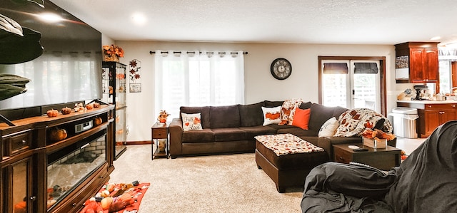 living room featuring light carpet and a textured ceiling